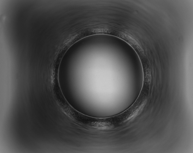 X0000097960255200803241219
