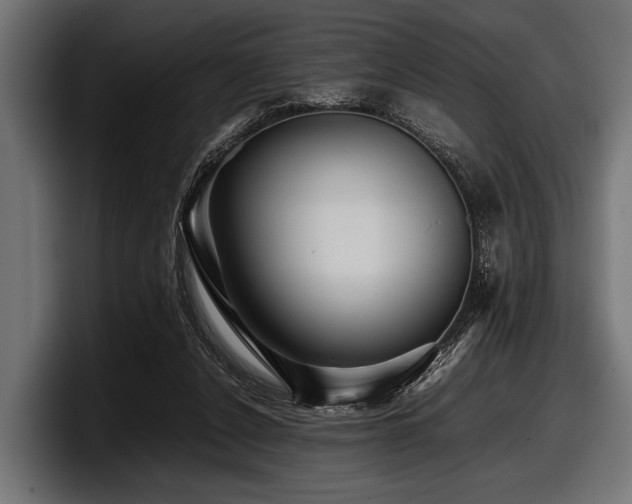 X0000097960256200803241219
