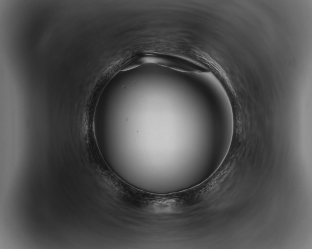 X0000097960257200803241219