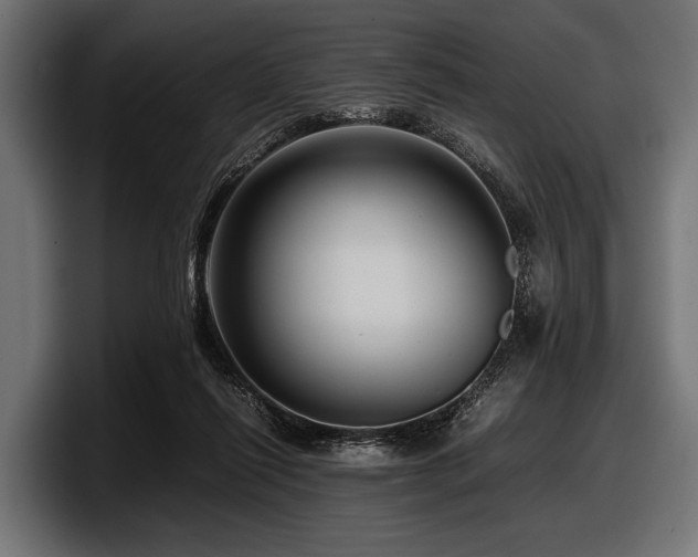 X0000097960262200803241220