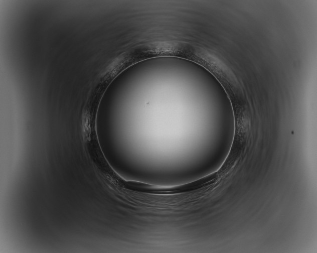 X0000097960264200803241220