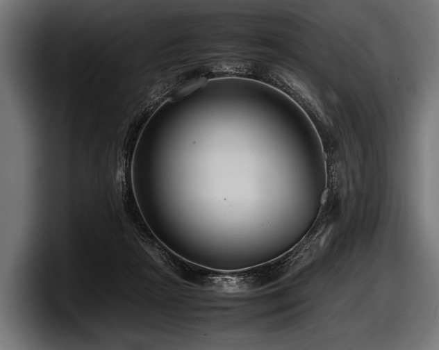 X0000097960265200803241220