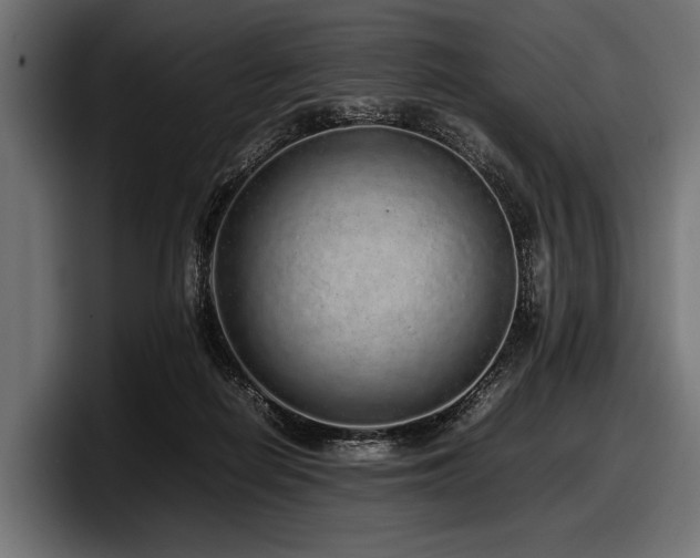 X0000097960266200803241220
