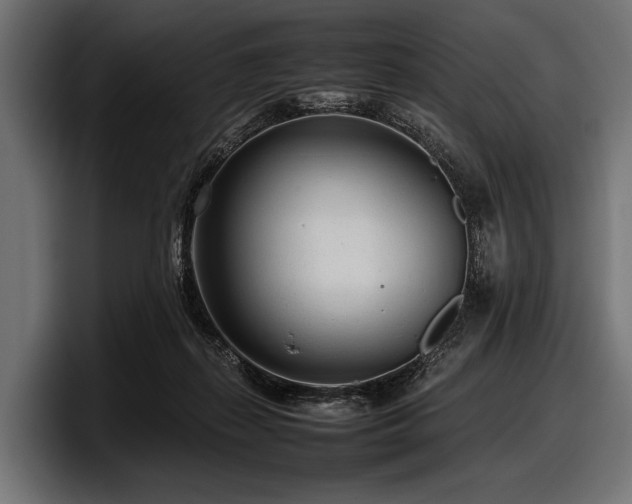 X0000097960267200803241220