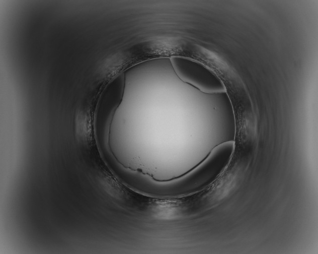 X0000097960268200803241220
