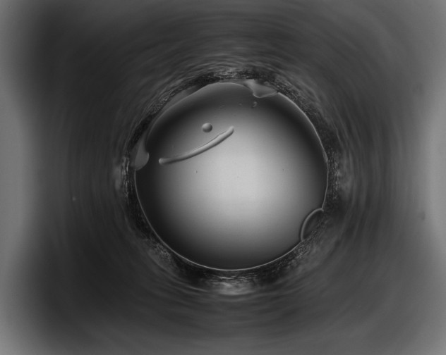 X0000097960275200803241220