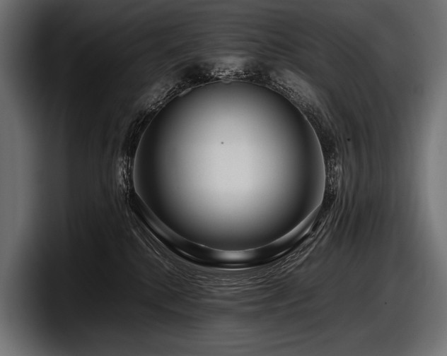 X0000097960280200803241220
