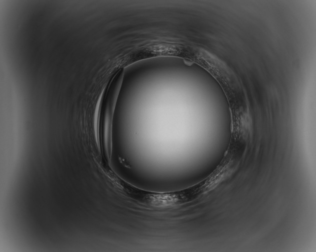 X0000097960281200803241220