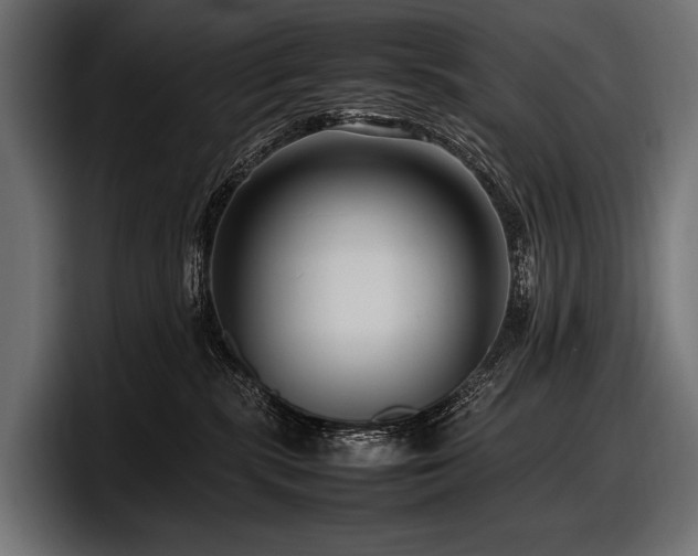 X0000097960283200803241220