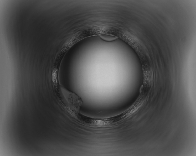 X0000097960286200803241220