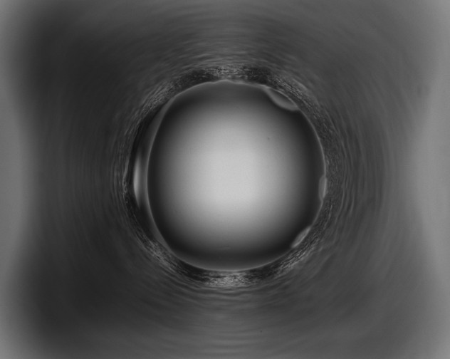 X0000097960288200803241220