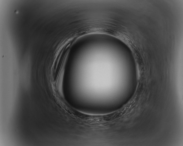 X0000097960289200803241219