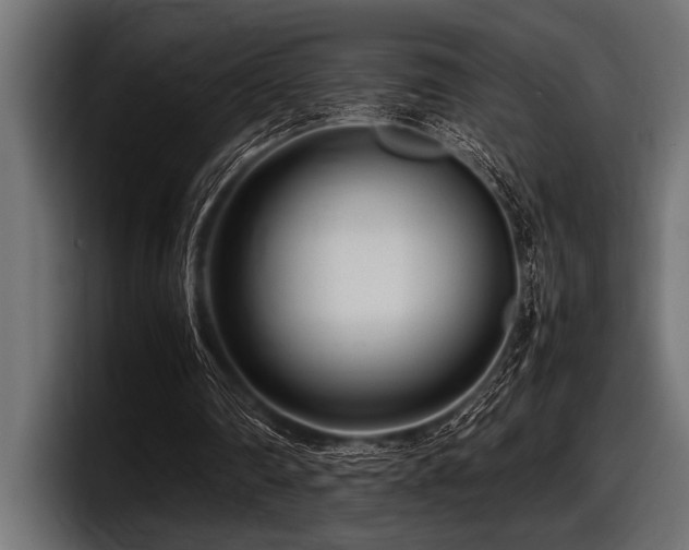X0000097960290200803241219