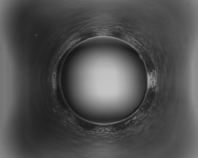X0000097960291200803241219