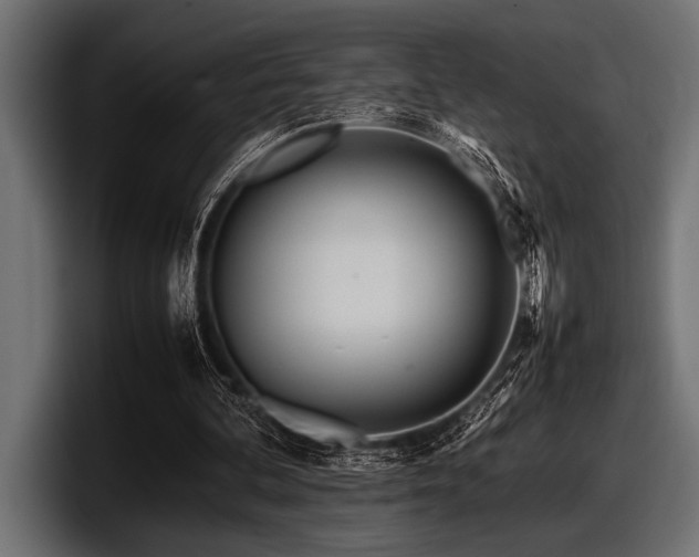 X0000097960292200803241219