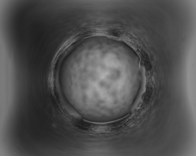 X0000097960293200803241219