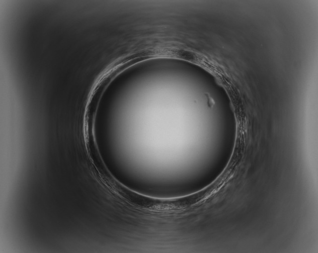 X0000097960294200803241219