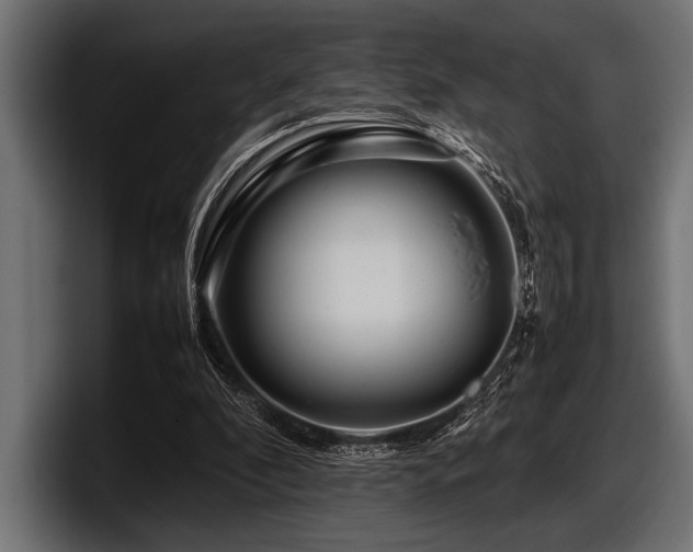 X0000097960296200803241219