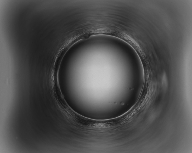 X0000097960298200803241219