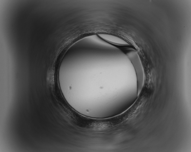 X0000097960299200803241219