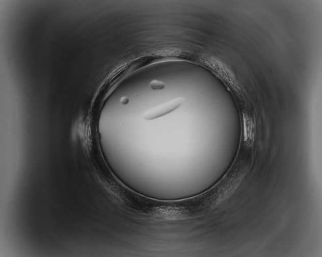 X0000097960300200803241219