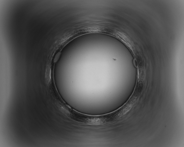 X0000097960301200803241219
