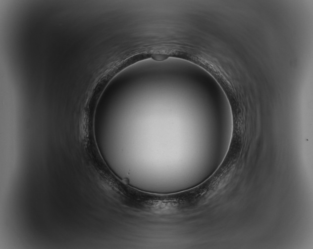 X0000097960303200803241219