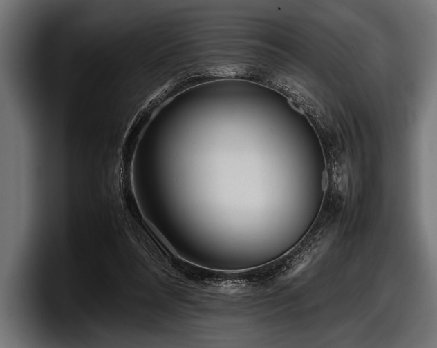 X0000097960304200803241219