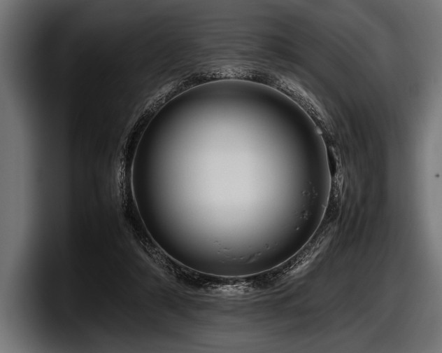 X0000097960306200803241219