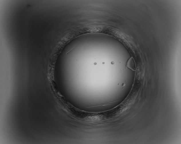 X0000097960307200803241219