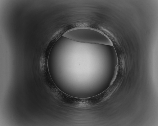 X0000097960308200803241219