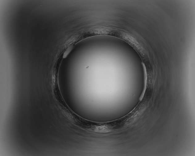 X0000097960309200803241219