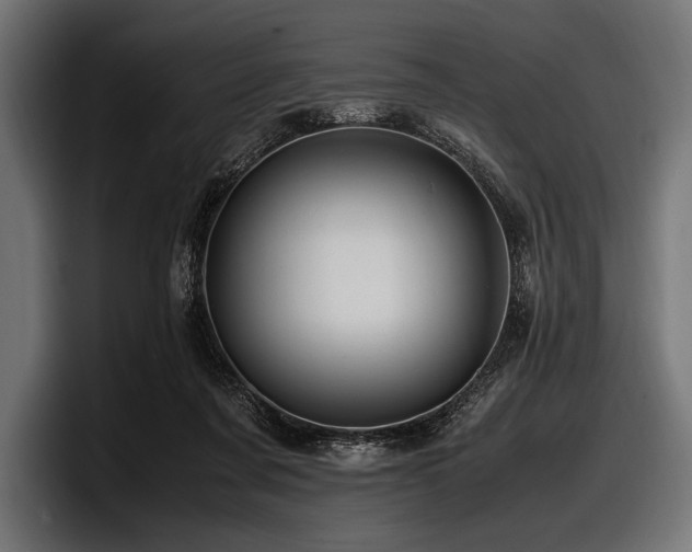 X0000097960311200803241219