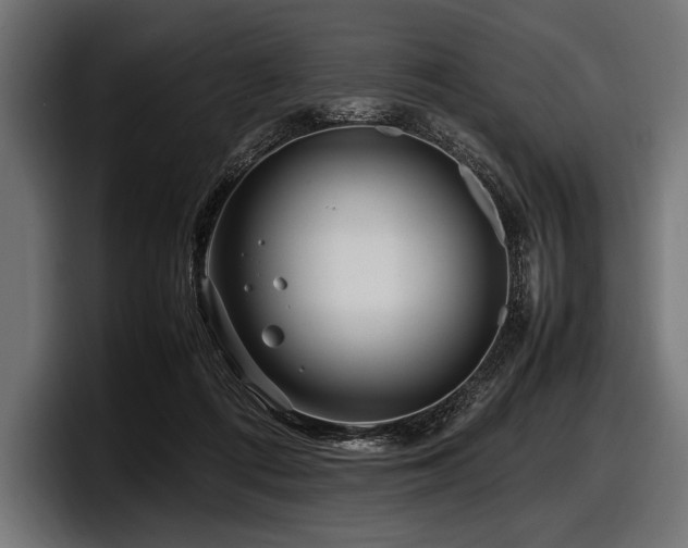 X0000097960312200803241219