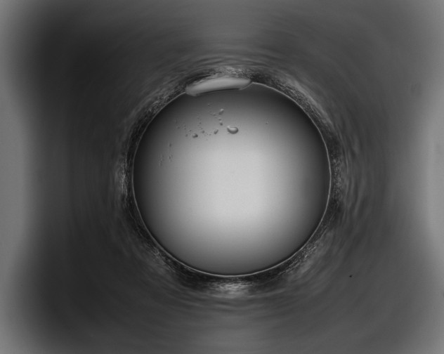 X0000097960313200803241219