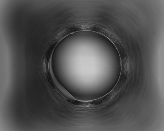 X0000097960316200803241219