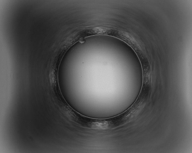 X0000097960317200803241219