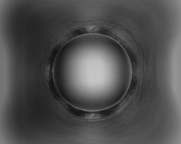 X0000097960319200803241219