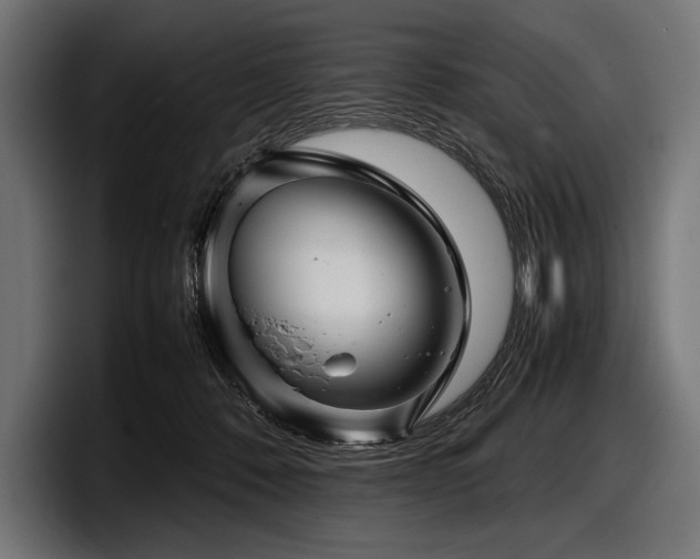 X0000097960320200803241219