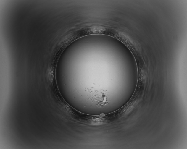 X0000097960321200803241219