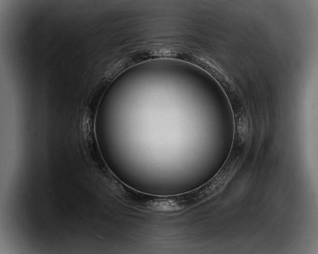 X0000097960322200803241219