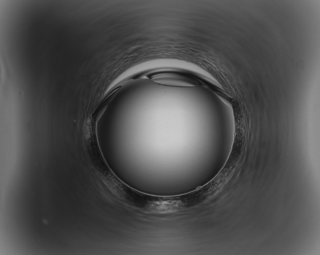 X0000097960323200803241219