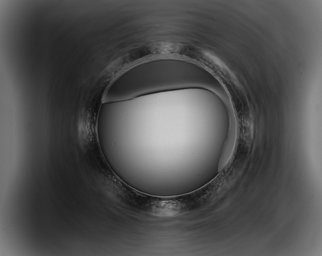 X0000097960324200803241219