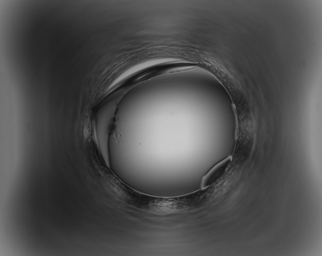 X0000097960325200803241219