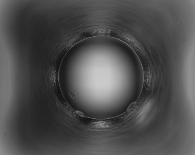 X0000097960326200803241219