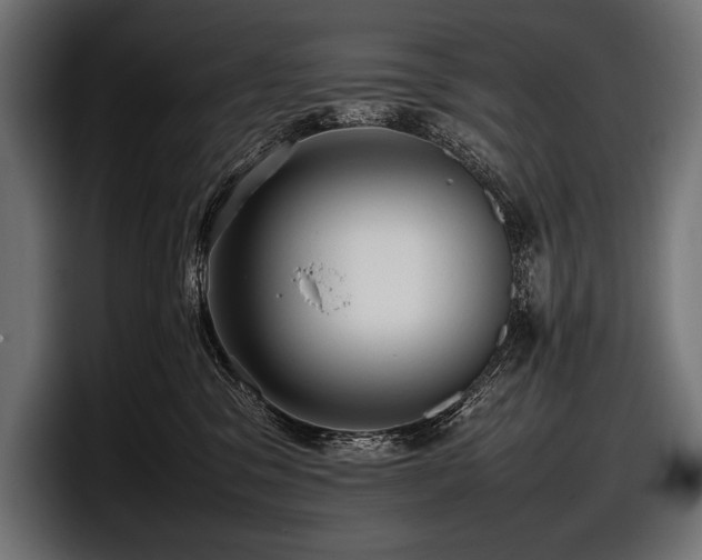 X0000097960329200803241219