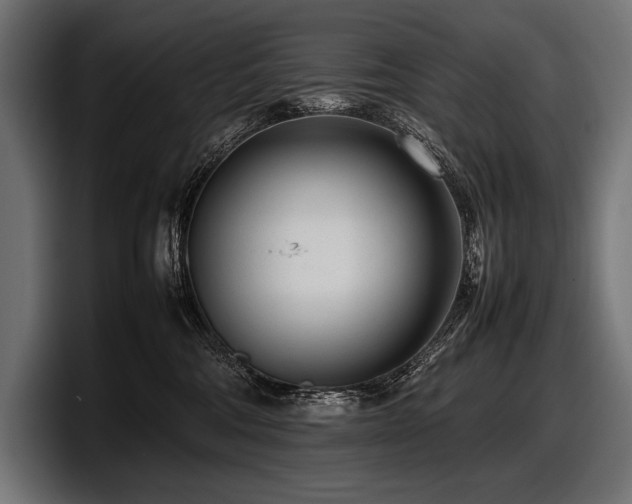X0000097960330200803241219