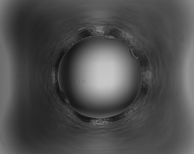 X0000097960331200803241219