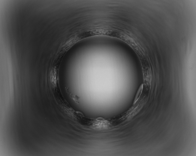 X0000097960334200803241219
