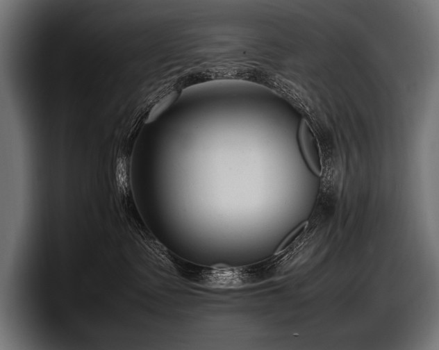X0000097960335200803241219